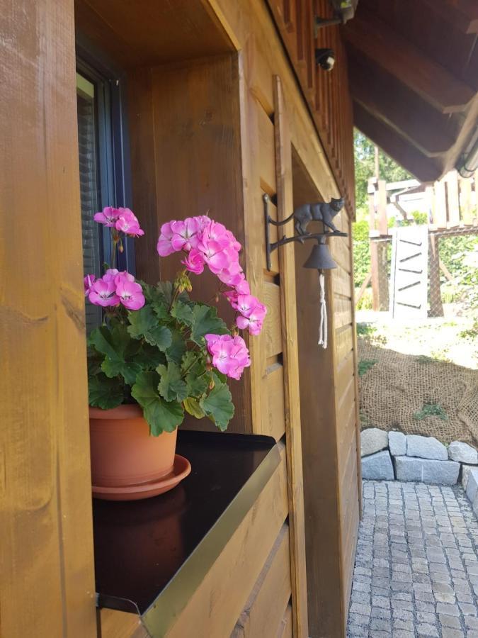 예세니크 Roubenka Strma 빌라 외부 사진